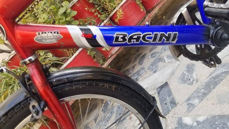Mountain Bicycle Bacini Made in Taiwan 0