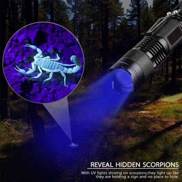 Zoomable Led UV Flashlight Torch 1