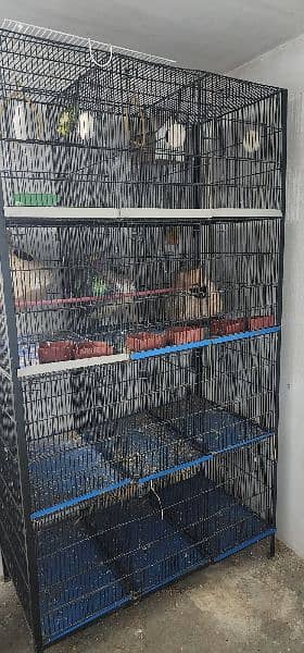 Used cage 12 portion WhatsApp no. . 03042772307 1