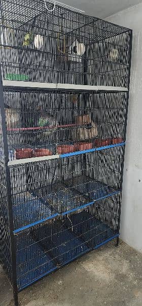 Used cage 12 portion WhatsApp no. . 03042772307 2