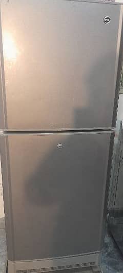 Pel fridge 5ft