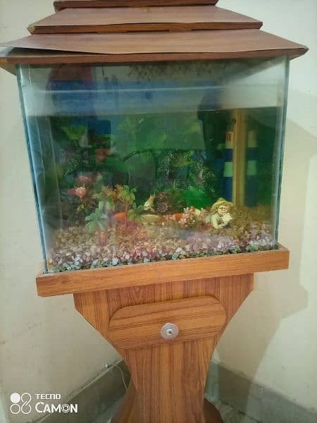 Fish aquarium with 1 healthy fishes 3