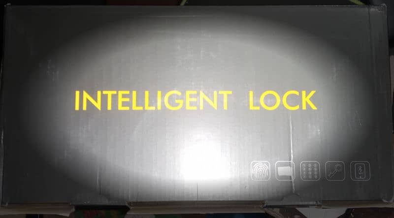 Smart WiFi Intelligent Door Locks 3