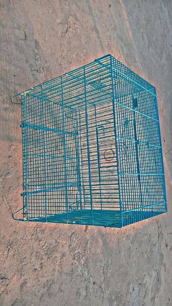 Raw Parrot Cage 3