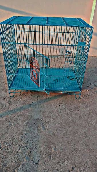 Raw Parrot Cage 4