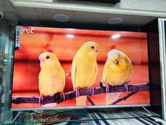 SAMSUNG 65 INCH LED TV BEST QUALITY 2024 MODELS  03334155206