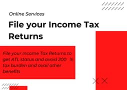 PROFESSIONAL Income Tax Returns filing 0