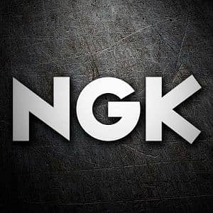 NGK2