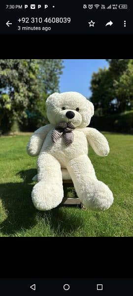 Tedy  bears available Gaint size soft fluffy imported stuff 0