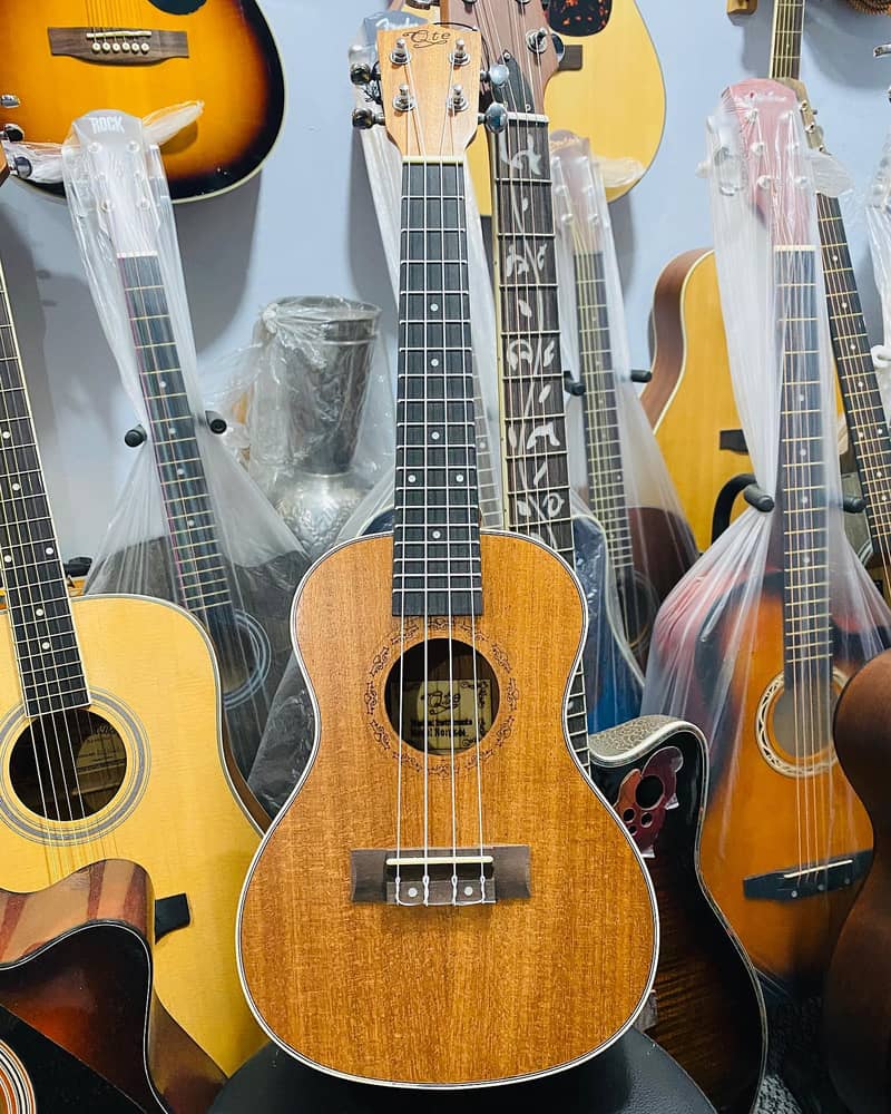 Fender Taylor Yamaha Acoustic Electric guitars violins ukuleles 12