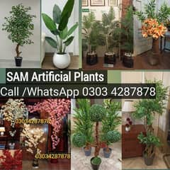 Artificial Plants for home and offices