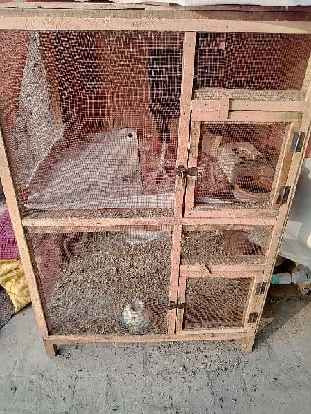 cage for sale price 3000 only pure wood ha 0