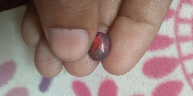 black opal Ethiopian real 2