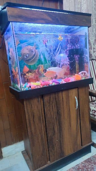 Fish with acquarium for sale 0