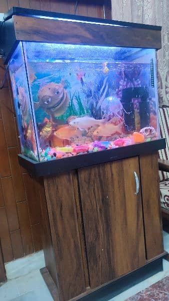 Fish with acquarium for sale 1