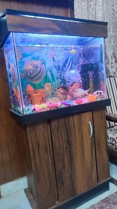 Fish with acquarium for sale with 2 big fishes