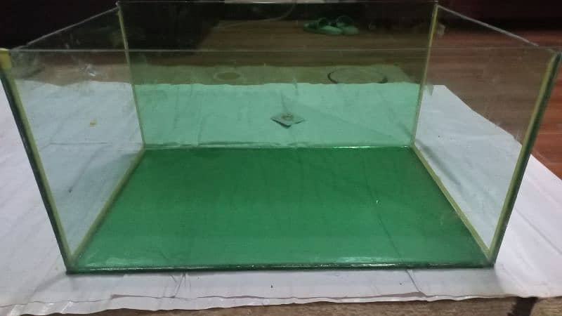 Fish Aqurium glass tank, guppy and accessories for sale (Peshawar) 3