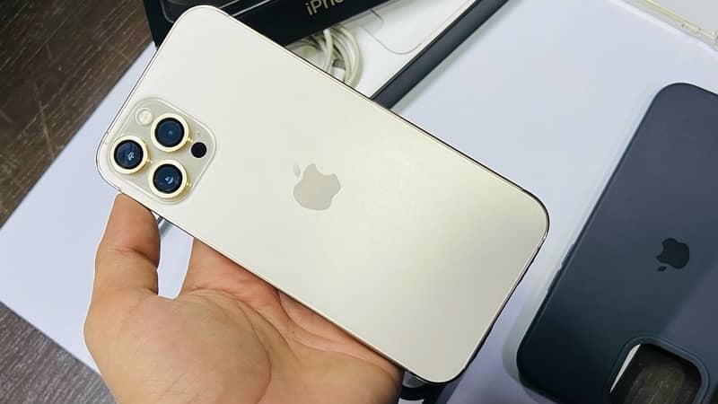 12 IPhone 12 Pro Max ! Non Pta 256gb ! Golden Colour 12