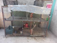 Solid Hen Cage03165322550