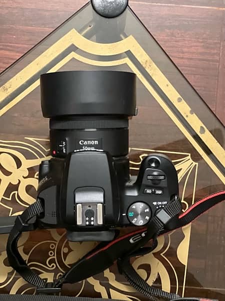Canon 250D | Brand New | With Extra Accessories 1