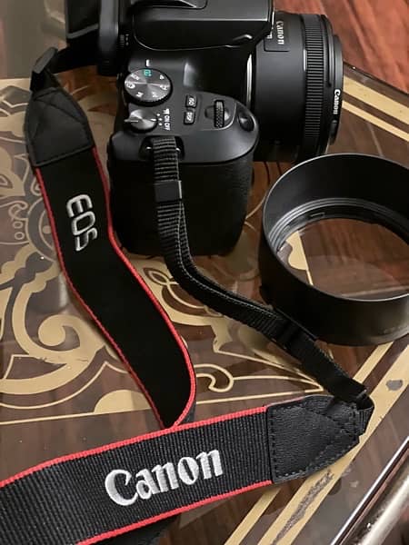 Canon 250D | Brand New | With Extra Accessories 2