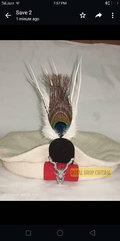 Gilgit Baltistan Original Caps with Markhor  feather . Traditional cap