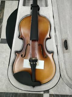 Raxtone Violin size 4/4 ( get 11% discount)