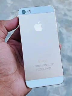 iphone 5s olx