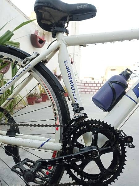 rally branded cycle 7