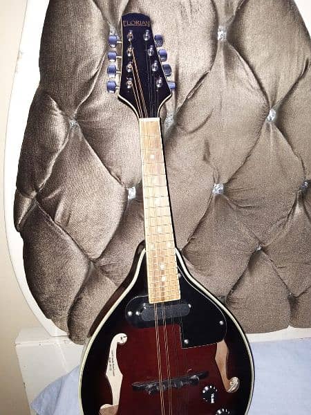 mandolin korean like brand new with built in pickup good sound 0