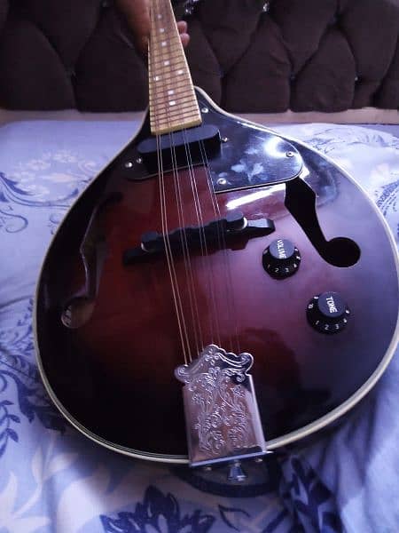 mandolin korean like brand new with built in pickup good sound 1