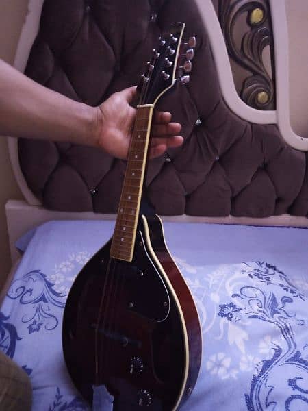 mandolin korean like brand new with built in pickup good sound 2