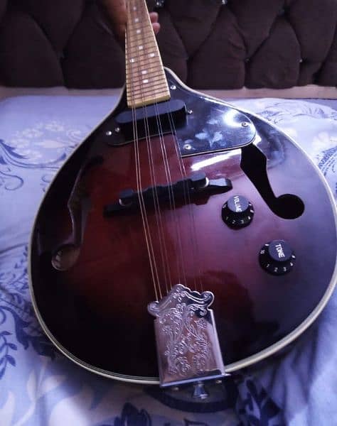 mandolin korean like brand new with built in pickup good sound 3