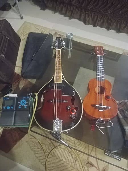 mandolin korean like brand new with built in pickup good sound 4