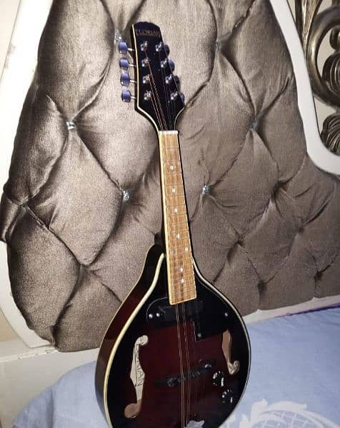 mandolin korean like brand new with built in pickup good sound 5