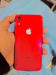 iPhone XR non pta 87 battery health 64 gb - Mobile Phones - 1082860366