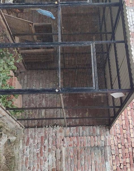 Cage For Animals(Birds,Hens,Goat. etc] 2