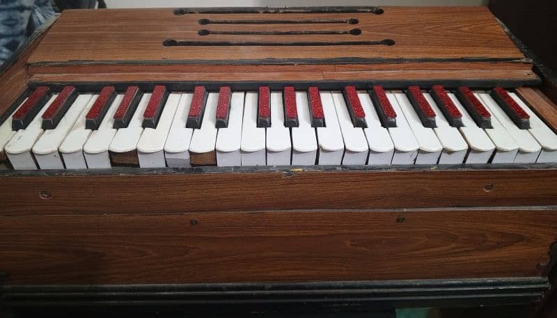 Indian Harmonium 2