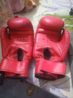 Boxing bag and gloves