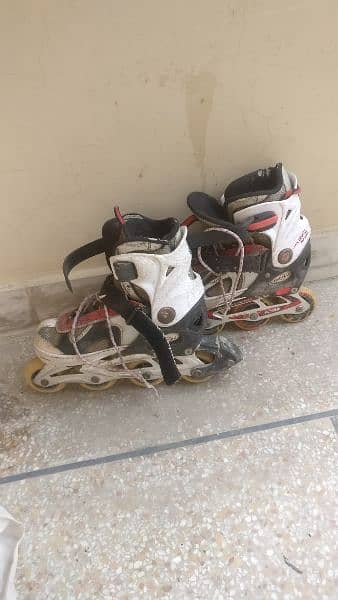 skating shoes / inline skates/ rollers 1