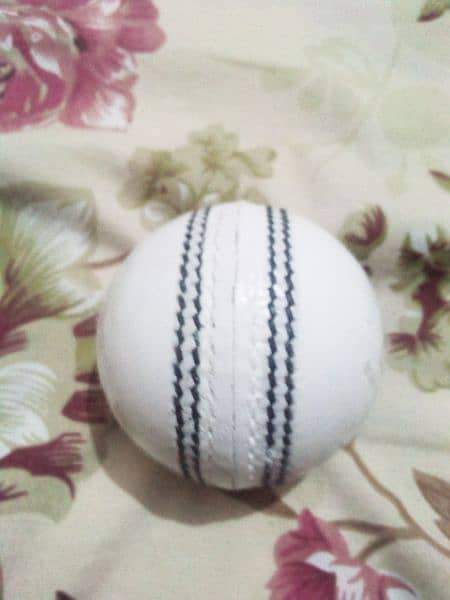 Cricket Hard Ball 0