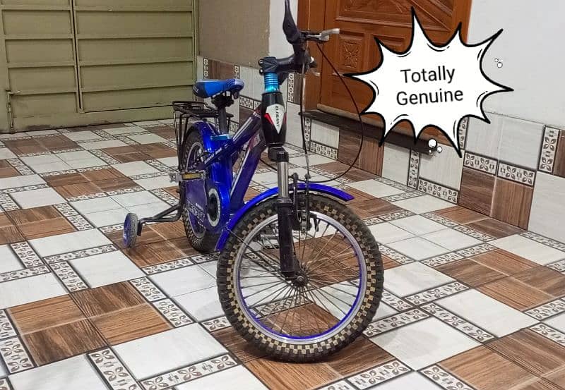 Bicycle For Sale Made in USA Age 5 to 12 Years 1