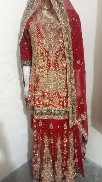 Bridal Bahrat Lahgha Size Medium 0