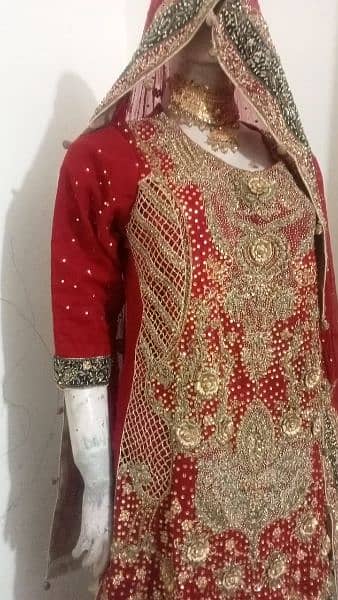 Bridal Bahrat Lahgha Size Medium 1