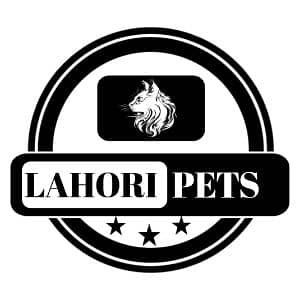 lahori