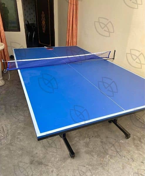 Table Tennis Table 2