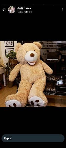 teady bears available imported premium quality 1