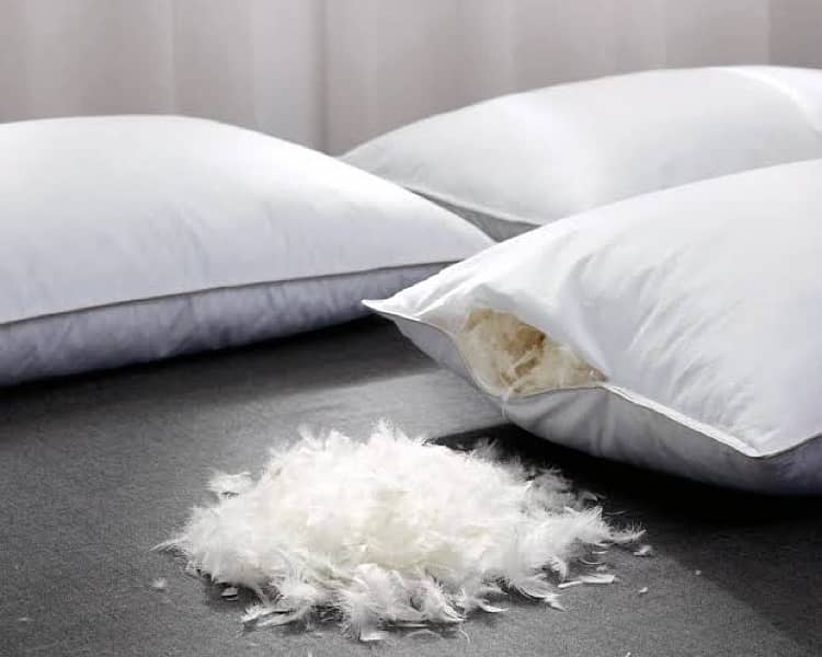 Duck Down & Feather Pillow | 70% Down + 30% Feather | Imported Pillow 1