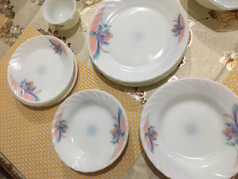 Marble Dinner set Brand Opala pearl of England 6