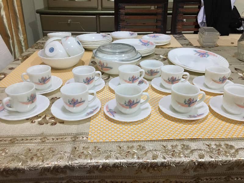 Marble Dinner set Brand Opala pearl of England 12